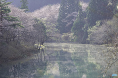 春霞