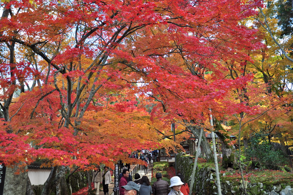 金剛輪寺　メインストリート（参道）