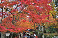 金剛輪寺　メインストリート（参道）