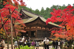 金剛輪寺　本堂（国宝）