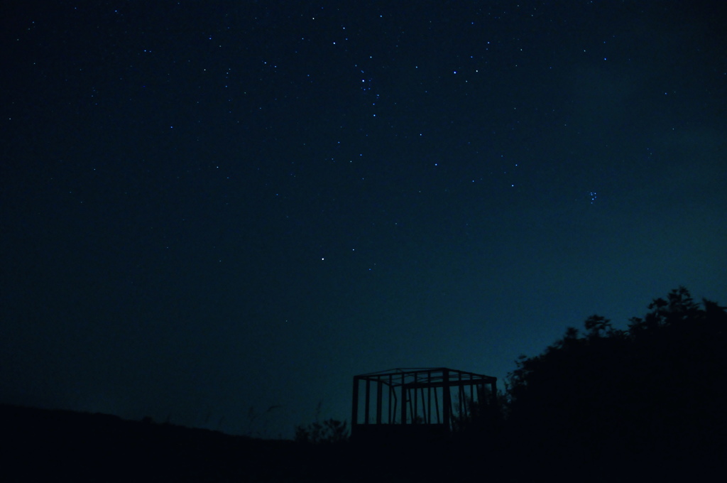今年のペルセウス座流星群は・・・