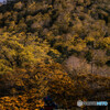 Autumn colors　2019  ①