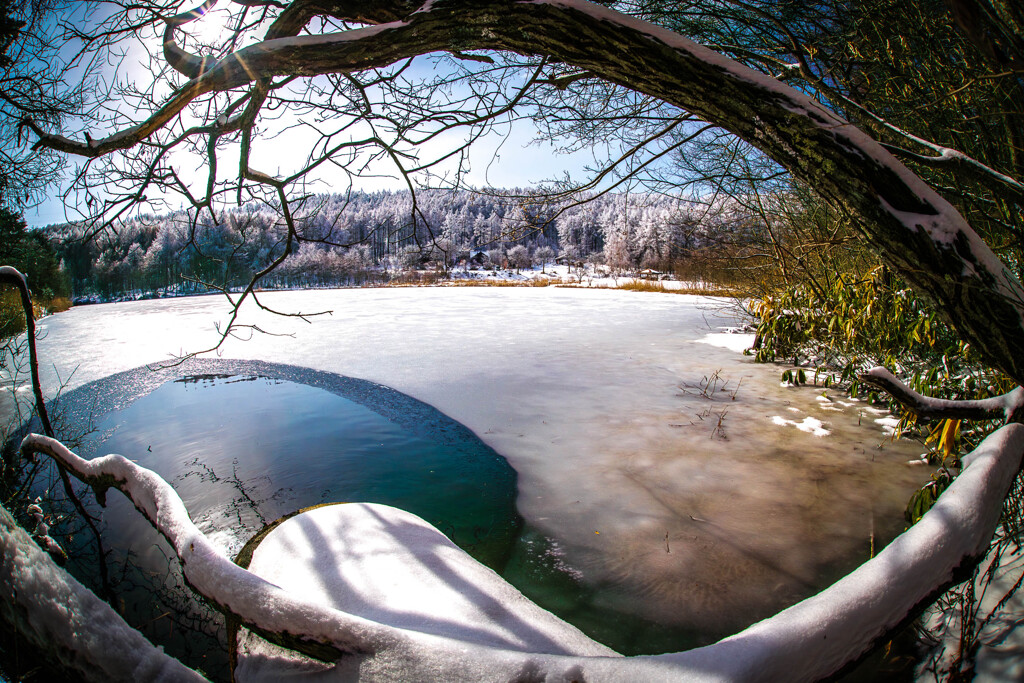 そっと覗いてみてごらん