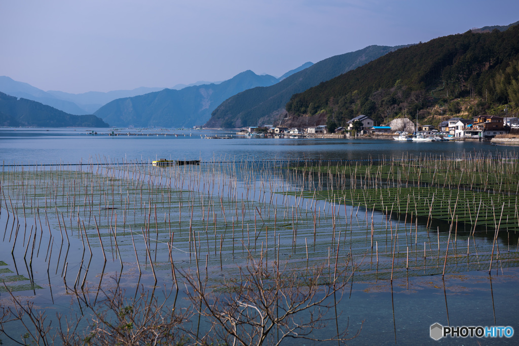 海物語　#朝