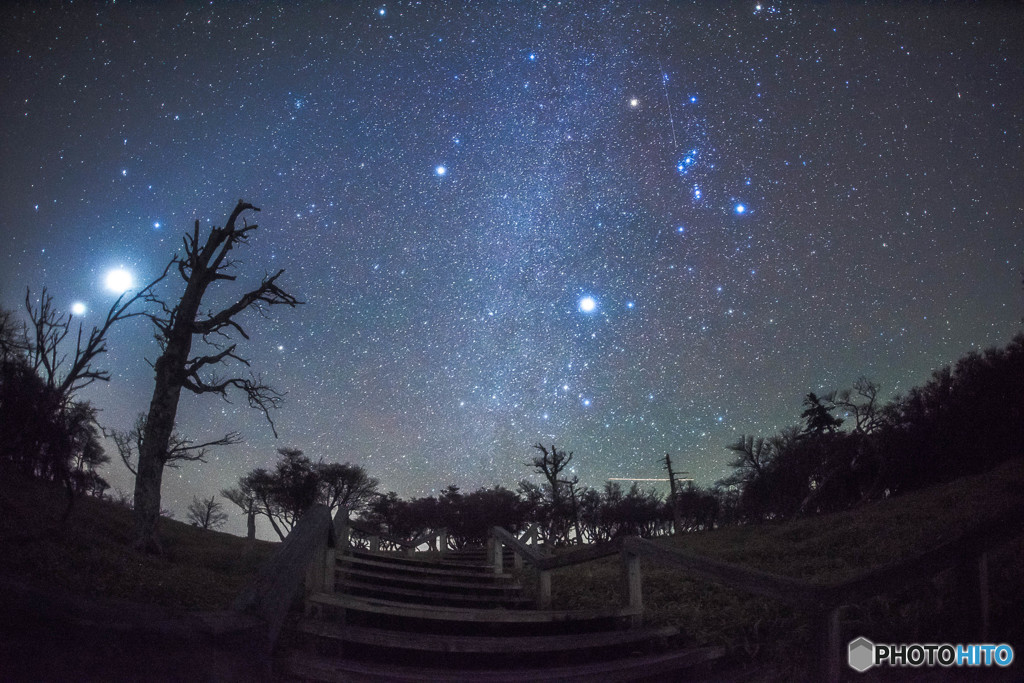 Orion meteor shower　2015'