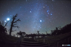 Orion meteor shower　2015'