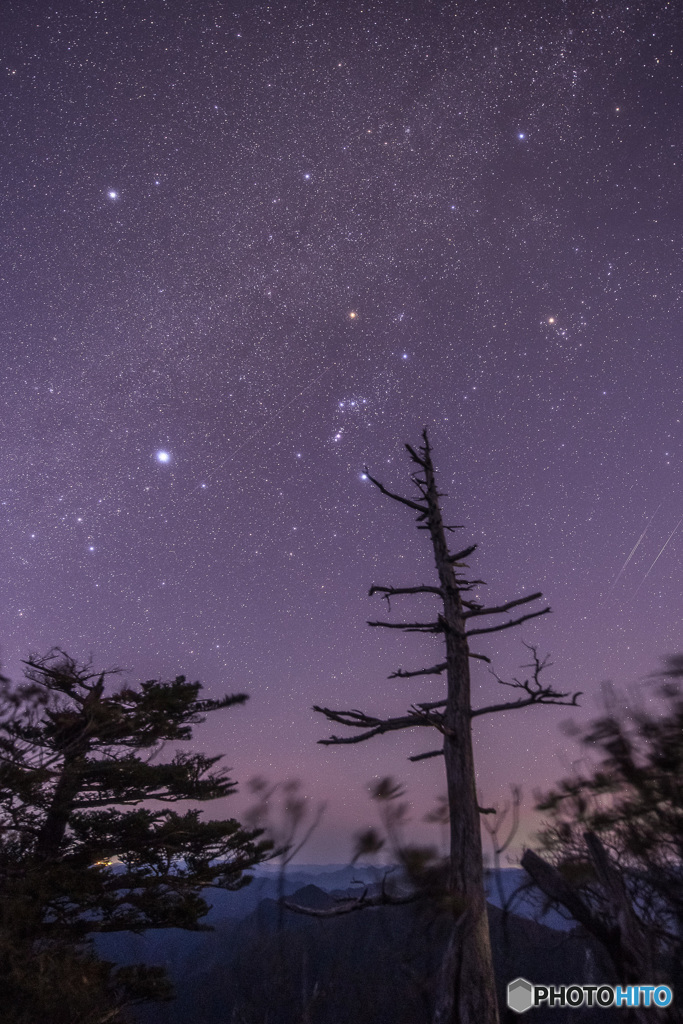 星に願いを