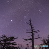 星に願いを