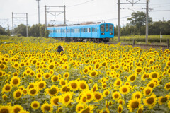 夏の思い出