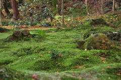 DSC_1319