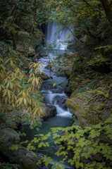 stream