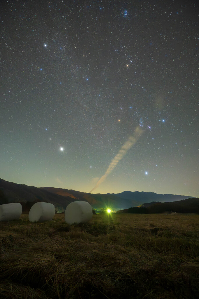 冬がはじまるよ