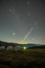 冬がはじまるよ