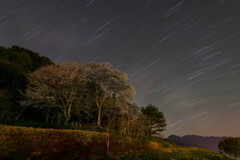 はるのうた -星の軌跡-