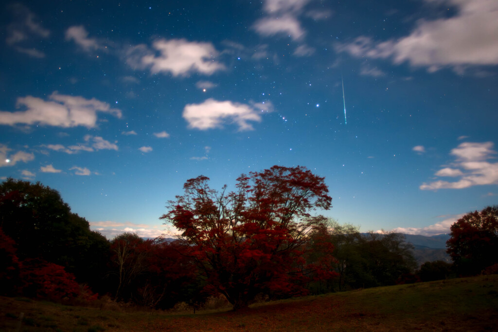 月明かりに照らされて