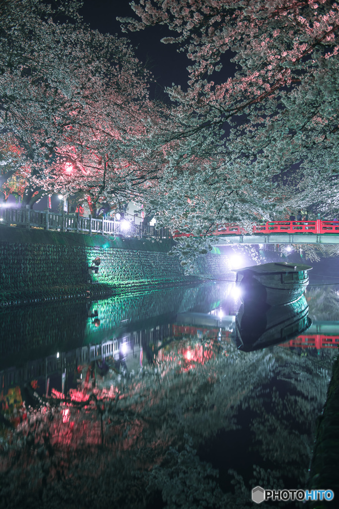 水門川の夜