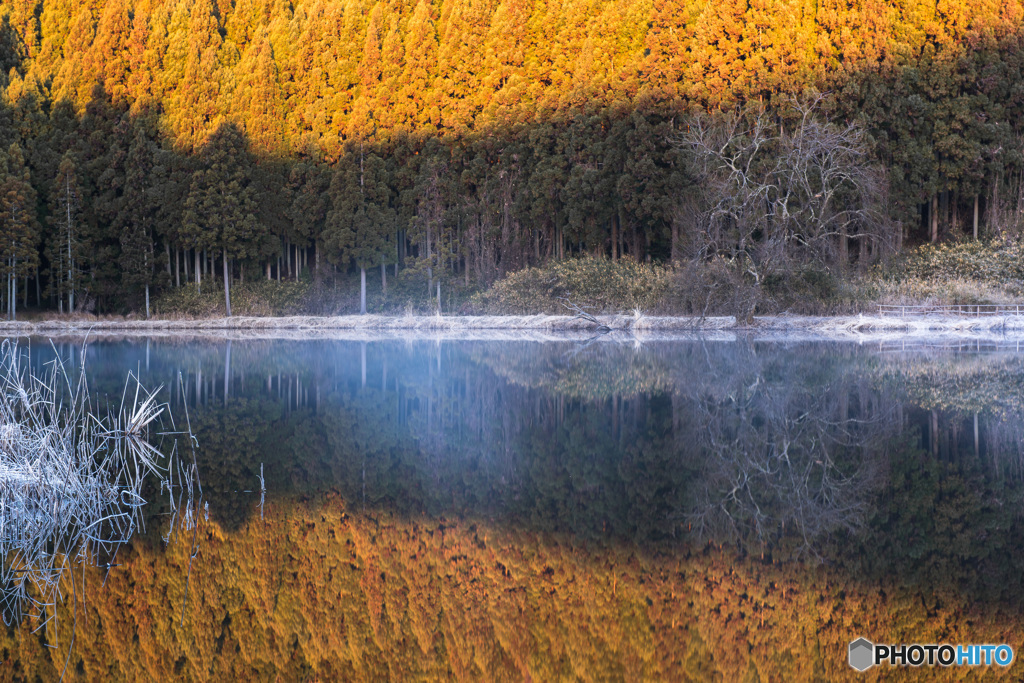 reflection　#3