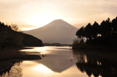 初・田貫湖　夜明け