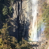 虹色の滝壺