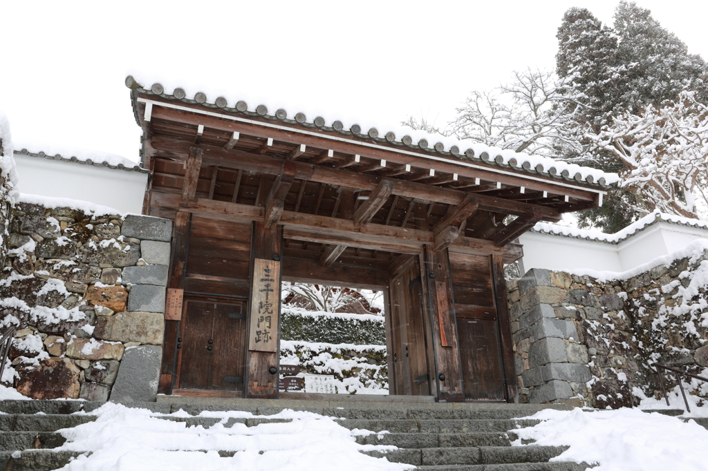 雪化粧した門跡