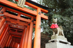 駒狐　右