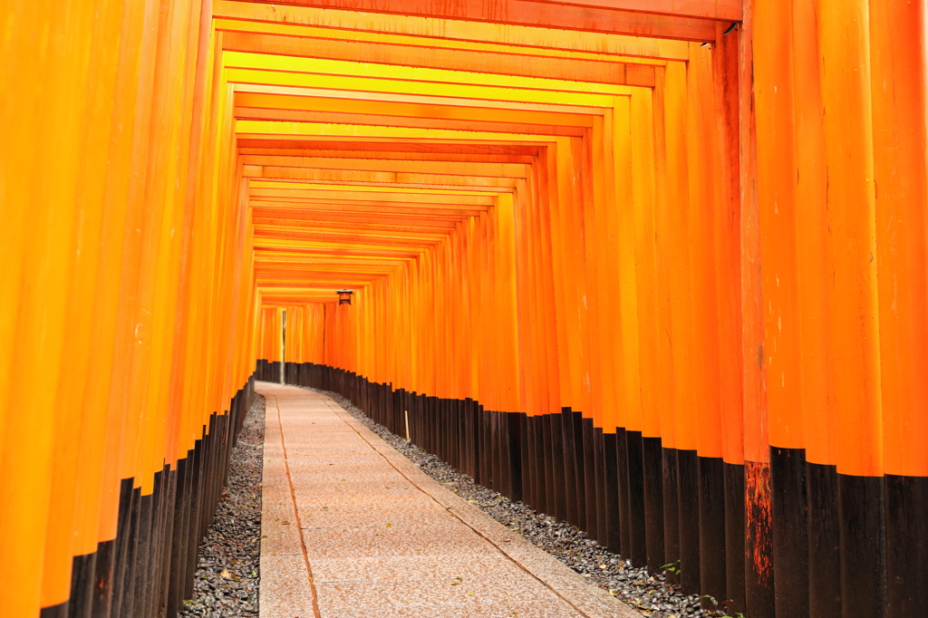 千本鳥居