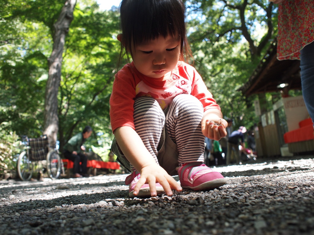 花より、団子より、砂利