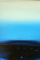 060829