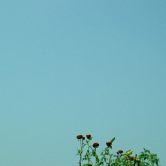 060806