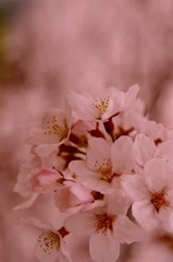 060412