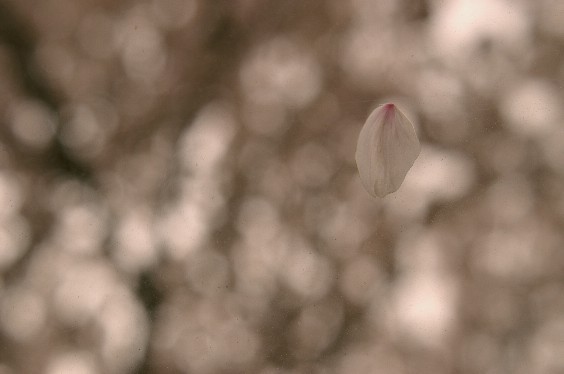 060409