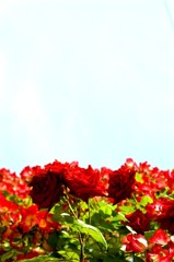 060526