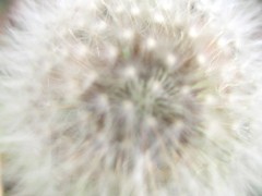 060217-01
