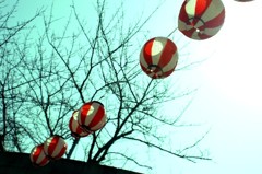 060306-01