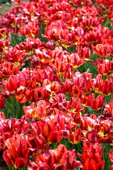 060524