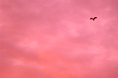 060405-01