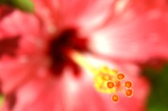 060722