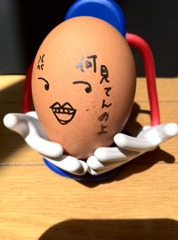 何見てんのよ！