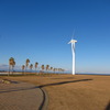 御前崎港の公園の風車