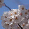 お気に入り