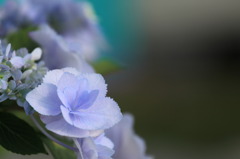 朝日を浴びて