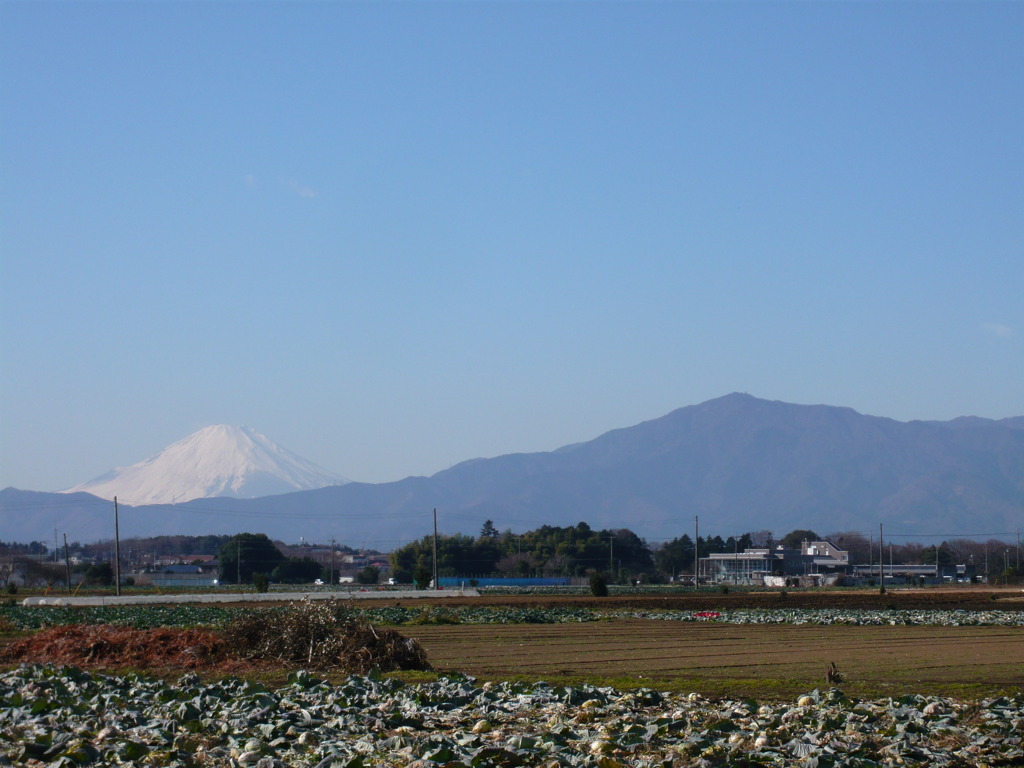 農村地帯