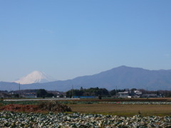 農村地帯