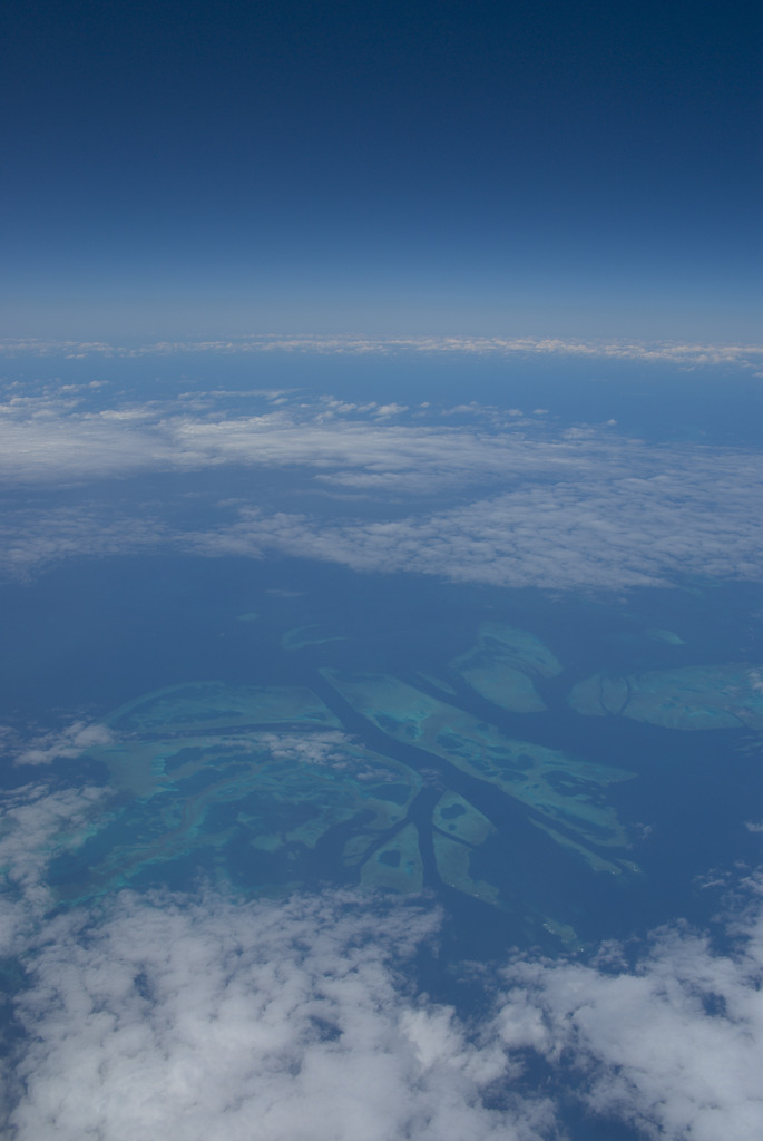 海蝶