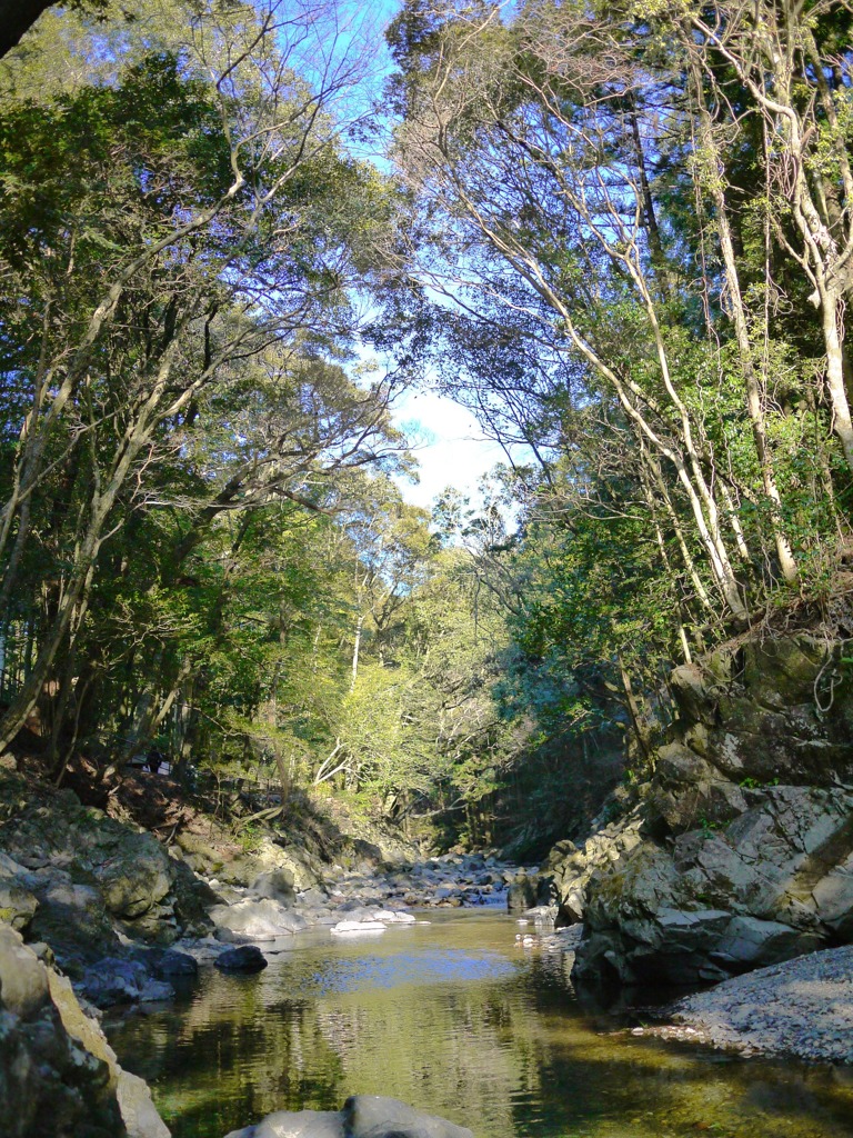 P1020225
