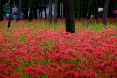 XT1A0721