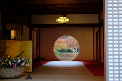 XE3A0325