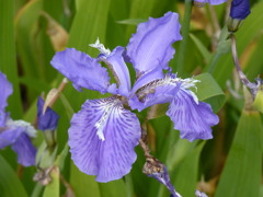 P1040356