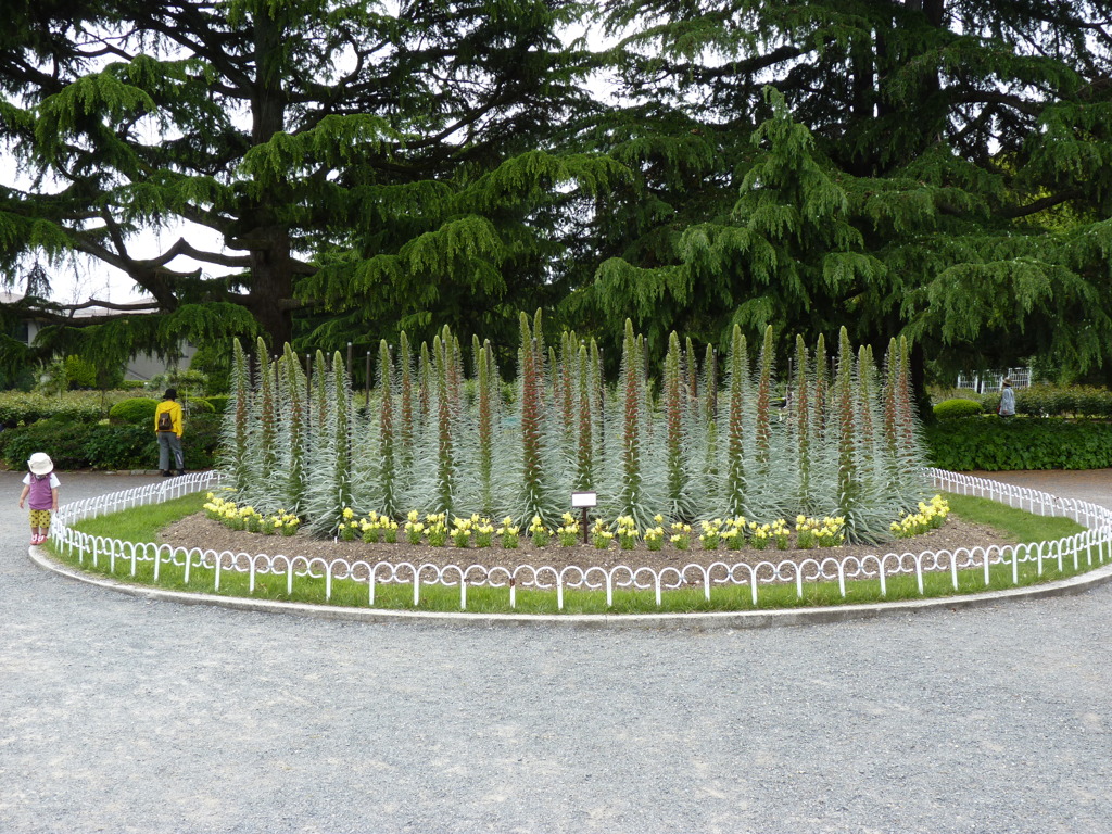 P1040213