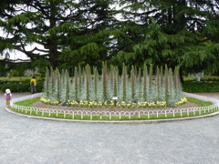P1040213